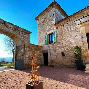 Domaine De Lejos - Portes D'albi Lamillarie
